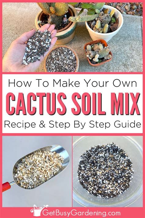 cactus soil mix ratio|How To Make DIY Cactus Soil Mix: Cheap & Easy! .